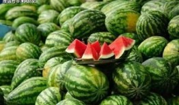 三代吃瓜二代吃瓜区别,时代变迁下的娱乐消费观对比