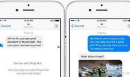 国外吃瓜爆料软件,揭秘娱乐圈幕后真相