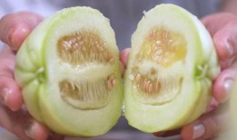 带皮吃的小白瓜,带皮食用的美味小白瓜