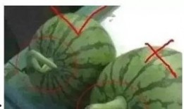 吃瓜会普通会员,带你领略普通会员的独特魅力