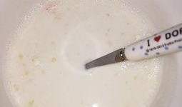 吃瓜少女布丁,揭秘娱乐圈幕后故事