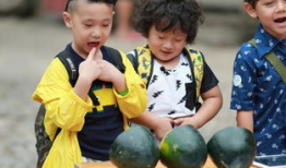 吃瓜小娃创作原声,原声音乐背后的故事与魅力