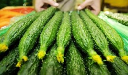 女人吃哪些瓜好,挑选最佳“瓜类”美食攻略