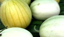 怎么制作吃瓜镇,探寻神秘小镇的制作秘籍