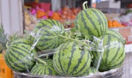 烟台上市里吃瓜,吃瓜群众眼中的行业盛宴