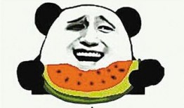 吃瓜群众跑步的视频下载,跟随吃瓜群众一起感受跑步的魅力