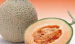 吃牛杂可以吃哈密瓜吗,意想不到的美食组合探索