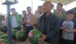 下地狱吃瓜群众,揭秘地狱生活众生相