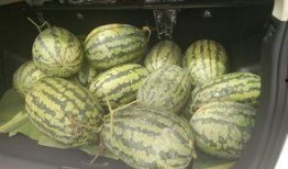 吵架怎么搬凳子吃瓜