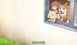 悠哉吃瓜的图片,揭秘娱乐圈幕后故事