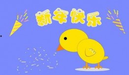 小鸡吃瓜不吃米,对米饭却无动于衷