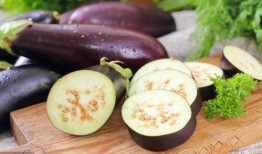 吃茄瓜头晕的原因是什么,营养过剩还是其他原因？