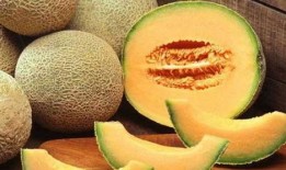 虎子吃哈密瓜,一场甜蜜的邂逅