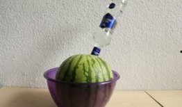 酒精吃瓜,揭秘酒精与吃瓜的奇妙搭配