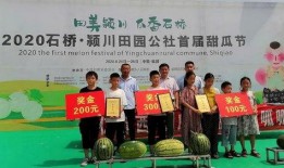 吃瓜大赛荣誉证书,揭秘吃瓜大赛冠军的传奇历程