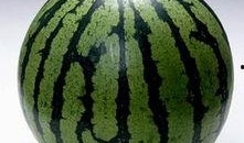 不吃瓜了吃西瓜,从“不吃瓜了”到“吃西瓜”的甜蜜转变