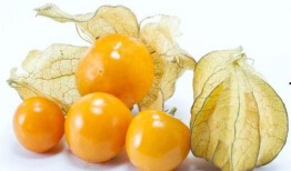 吃瓜菇娘,揭秘娱乐圈背后的那些事儿