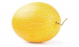 天天吃瓜测试,一场全民参与的趣味测试盛宴