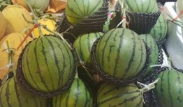 什么叫做吃瓜正,网络时代的围观文化新解读