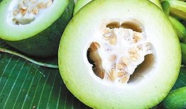 武当山吃瓜,探寻神秘仙山中的“吃瓜”传说