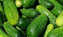 名柯吃瓜,揭秘柯南背后的神秘世界