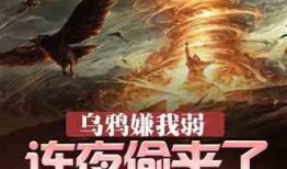 继续吃瓜小说,继续吃瓜，揭开神秘面纱