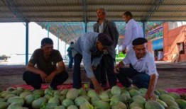 吃瓜群众过十万,揭秘网络热议背后的真相