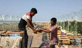 吃瓜群众来袭视频