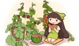 不用花钱买瓜吃