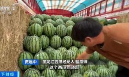 吃瓜新闻台,揭秘娱乐圈最新热点事件