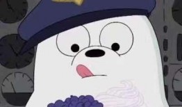 白熊头像吃瓜图片大全,趣味横生的网络潮流