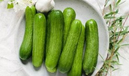 吃瓜7号,网络红人的崛起与影响力