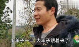 表叔吃瓜,揭秘娱乐圈背后的故事