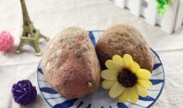 樊霄堂大号吃瓜,揭秘娱乐圈幕后故事