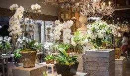 最新吃瓜事件花店,揭秘最新吃瓜事件背后的花店秘密