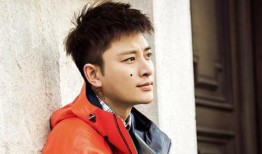 吃瓜视频贾乃亮,揭秘娱乐圈背后的真相