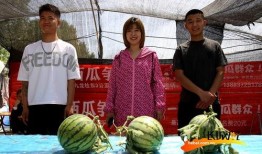 吃瓜现场图片,吃瓜群众围观大事件