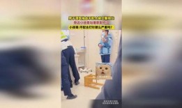 小孩哥打针吃瓜