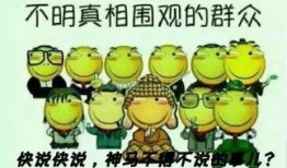 吃瓜群众老鼠视频大全,吃瓜群众视角下的老鼠生活大揭秘