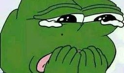 温柔蛙蛙吃瓜团