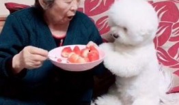 孩子看见姥姥吃瓜,姥姥的甜蜜时光