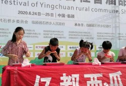 吃瓜大赛荣誉证书,揭秘吃瓜大赛冠军的传奇历程