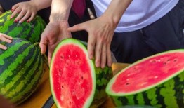 大同大学吃瓜,吃瓜群众揭秘校园热点事件