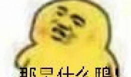 无瓜可吃表情包,表情包里的夏日清凉