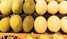 吃西瓜好还是哈密瓜,夏日消暑佳选，谁更胜一筹？