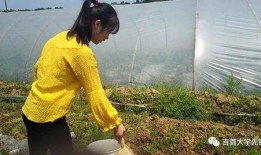 吃瓜不问别离,聚焦生活点滴