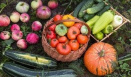 为什么吃瓜要叫沙瓜,揭秘“吃瓜”一词的由来与演变