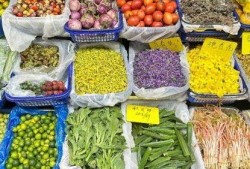 春城大观吃瓜,一场别开生面的吃瓜盛宴