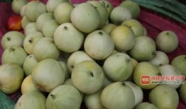 南宁医院吃瓜,揭秘背后真相与网络舆论风暴