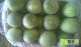 山东费县吃瓜,瓜果飘香，品味田园生活